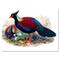Designart - Vintage Birds In The Wild II - Traditional Canvas Wall Art Print
